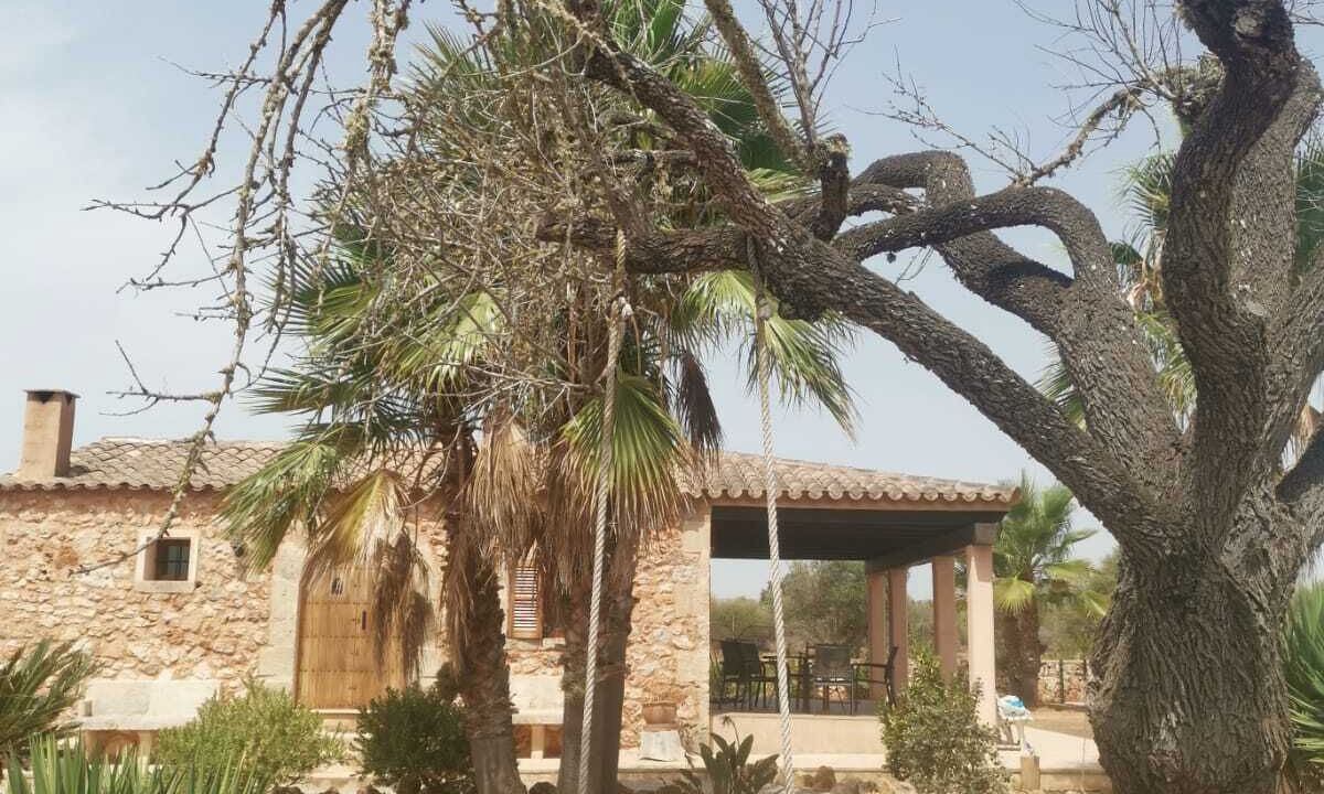 Photo of Outdoor in Campos