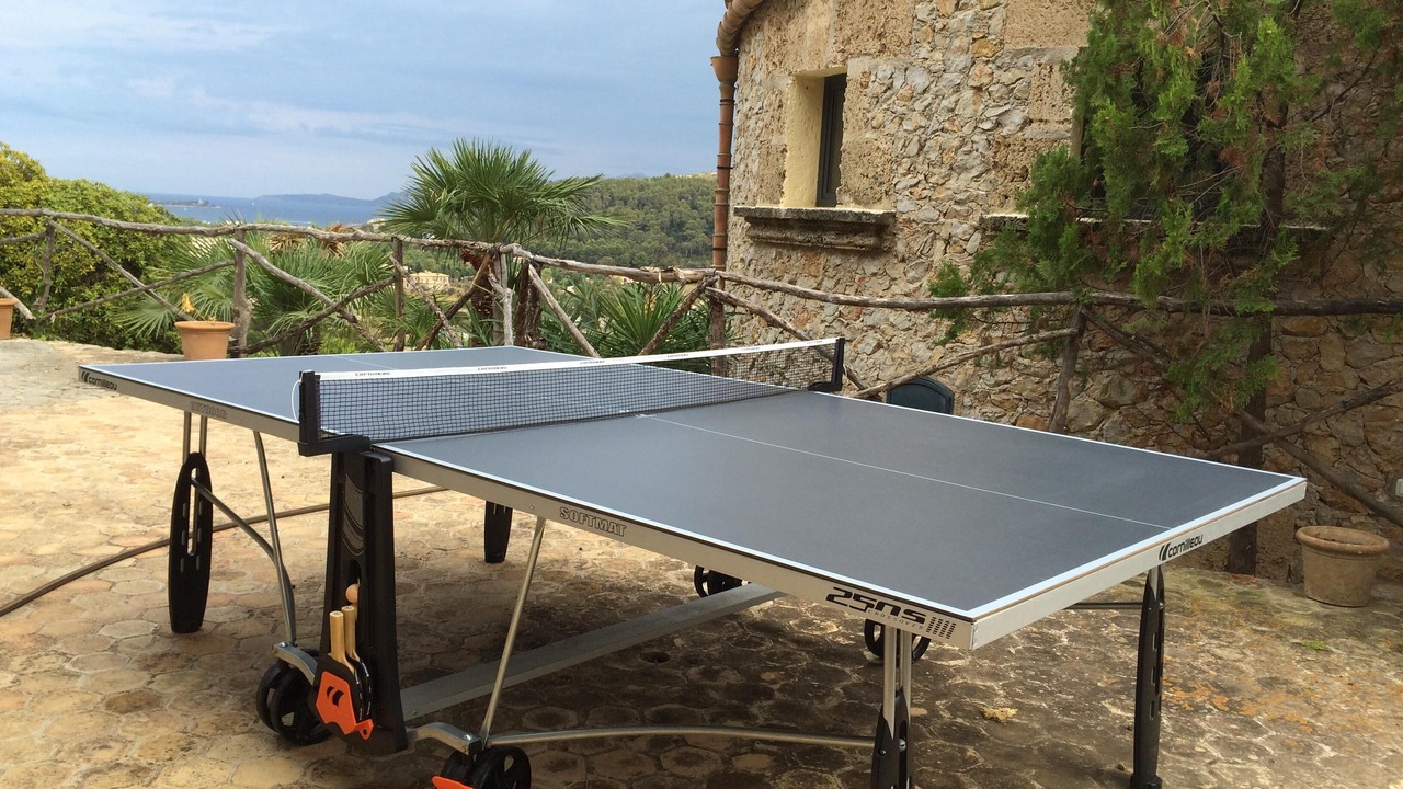 Photo of Others in Pollensa