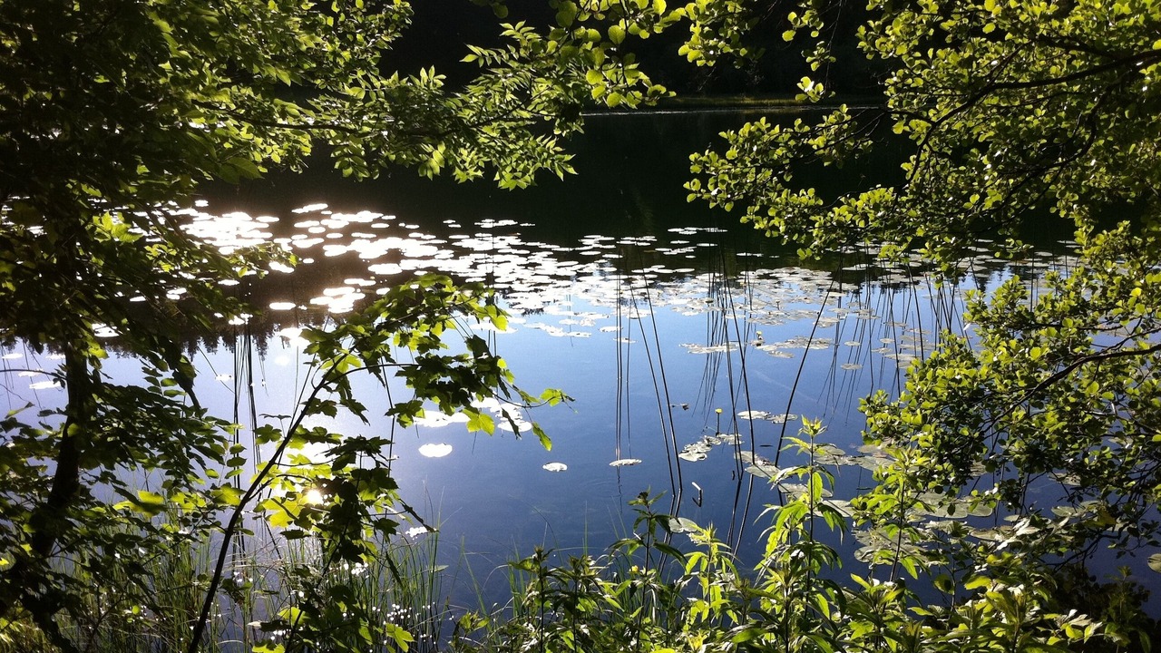 Photo of Outdoor in Bellefontaine