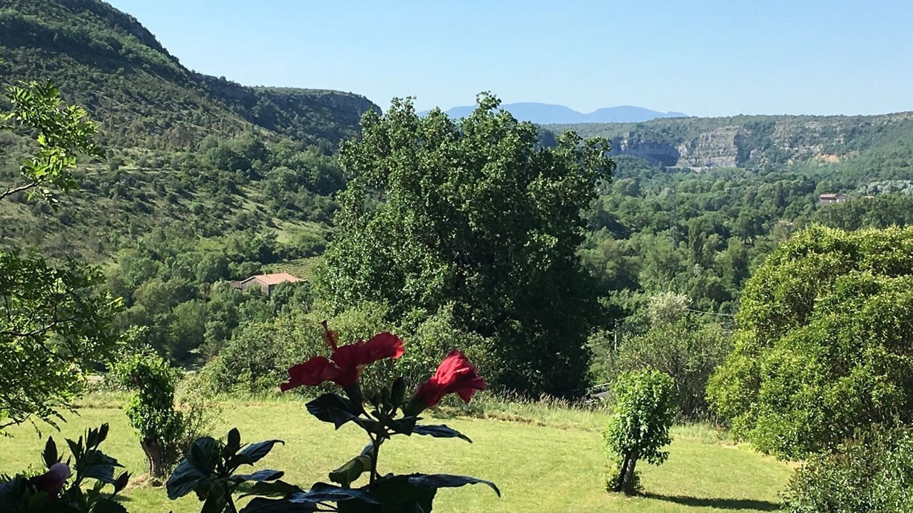 Photo of Outdoor in Uzer
