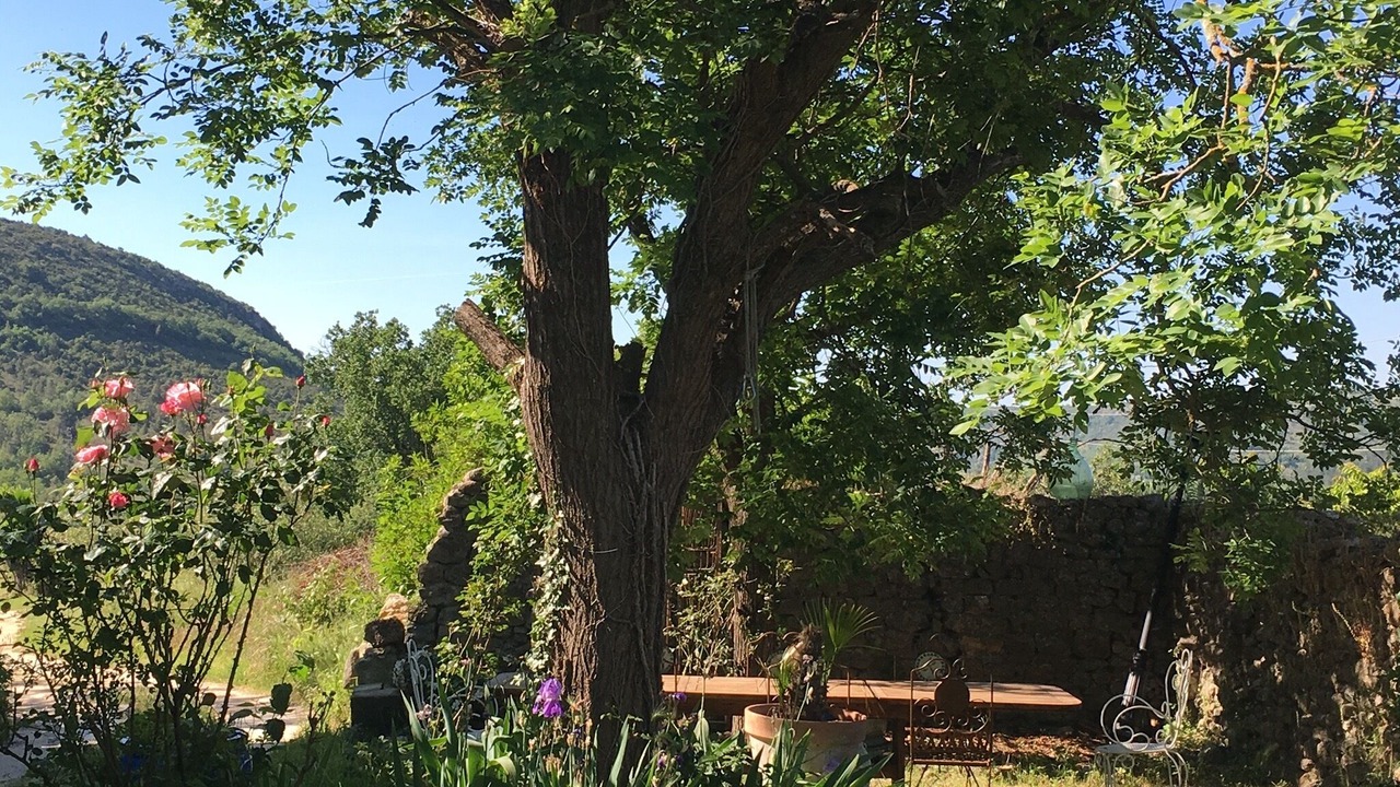 Photo of Outdoor in Uzer
