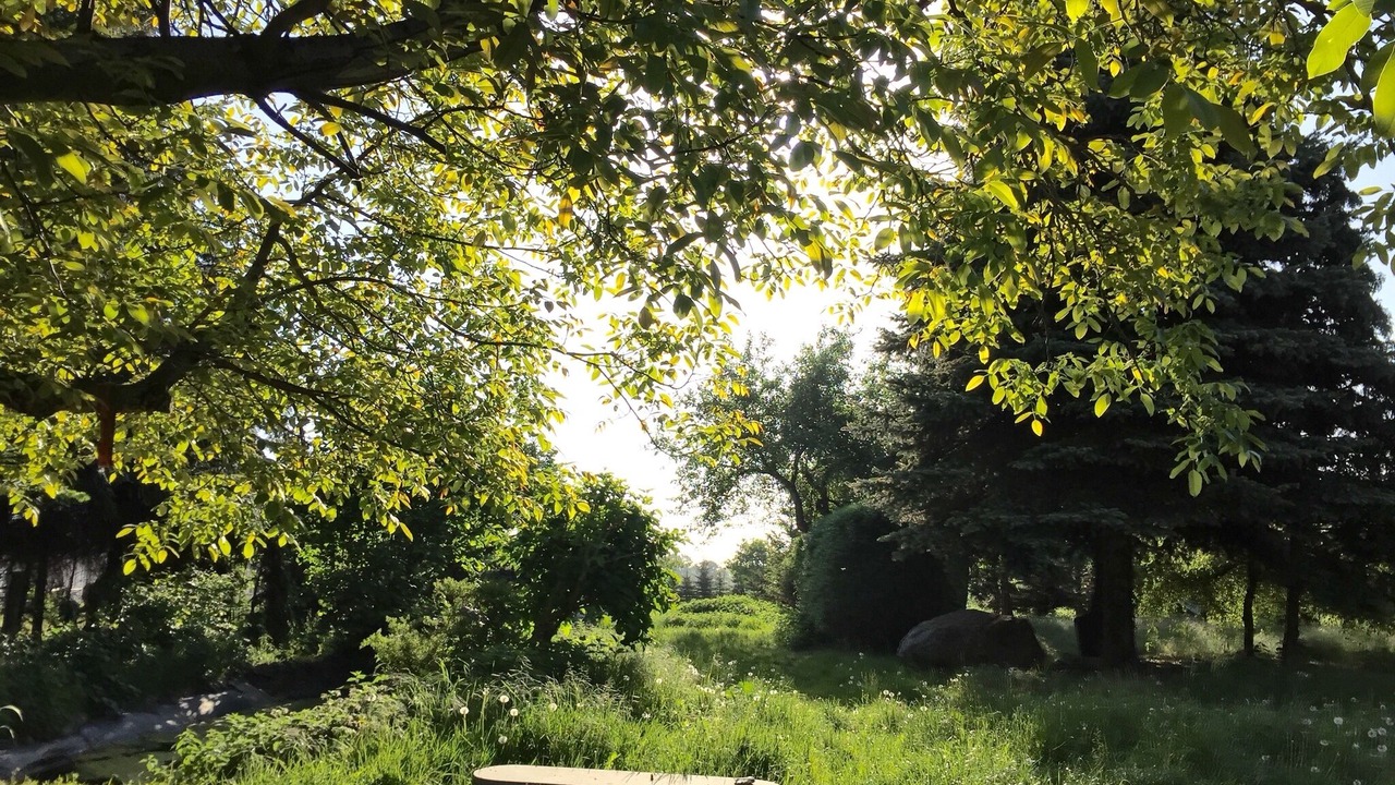 Photo of Outdoor in Jerichow