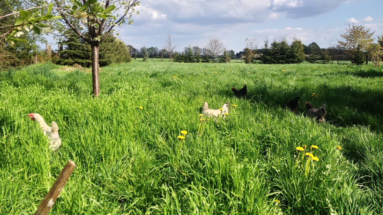 Photo of Outdoor in Jerichow