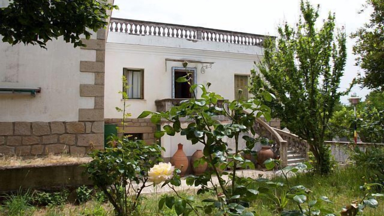 Photo of Outdoor in Piedralaves