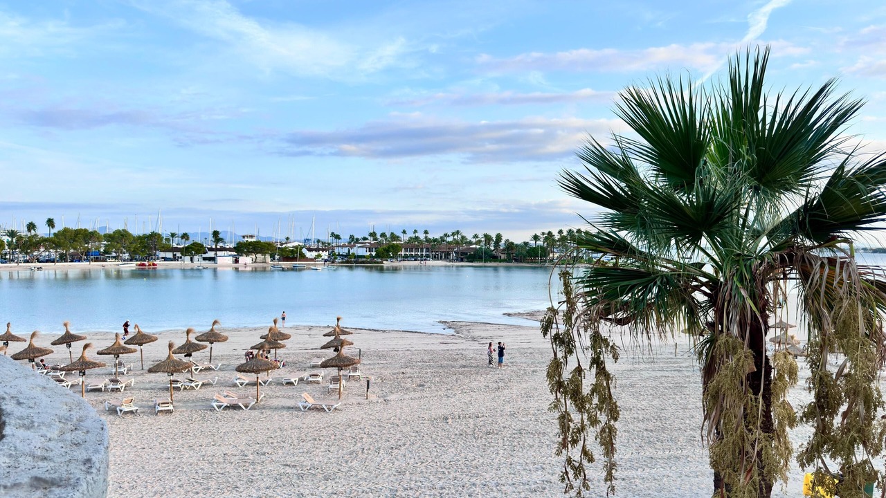 Photo of Others in Alcudia