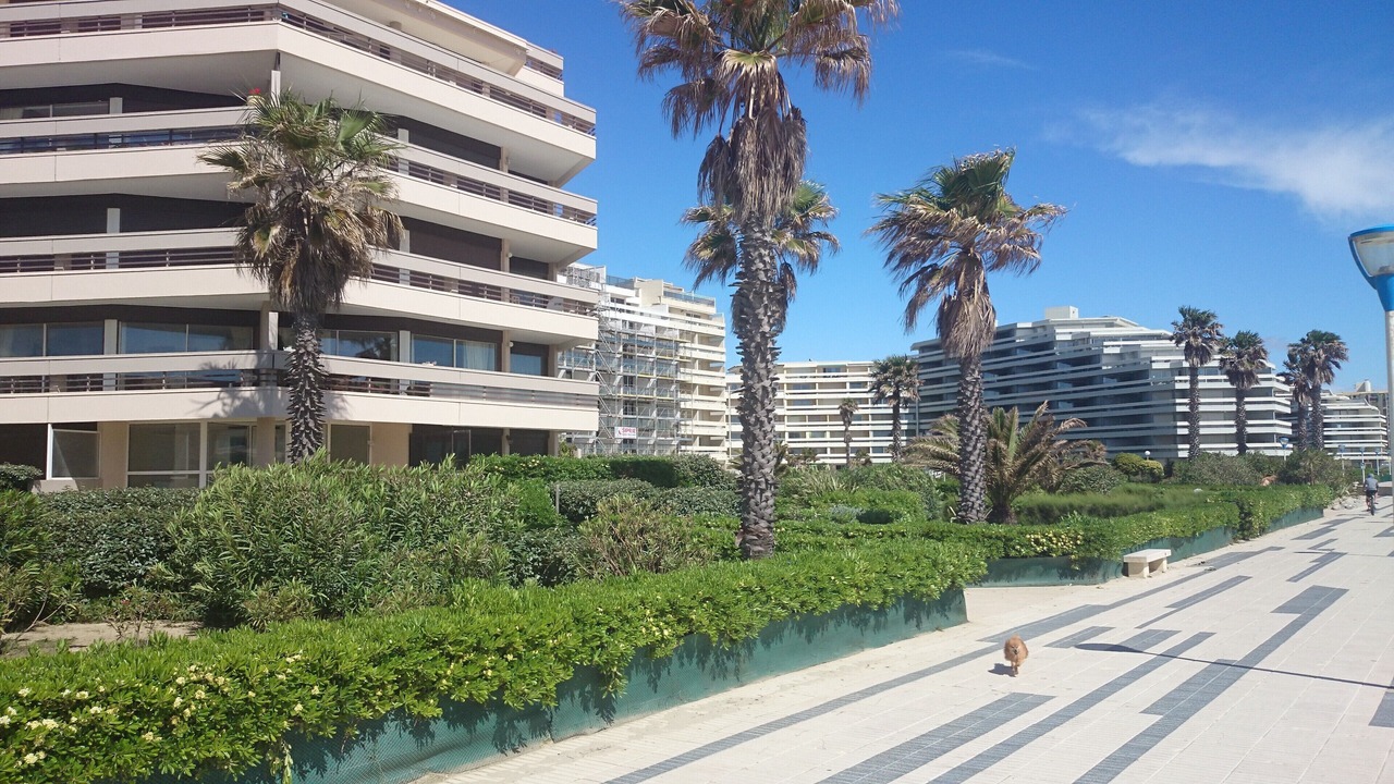 Photo of Outdoor in La Cote Radieuse