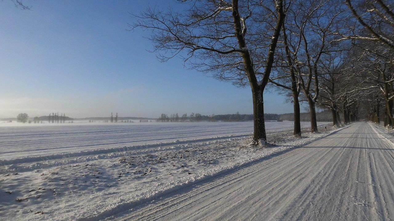 Photo of Others in Brandenberg