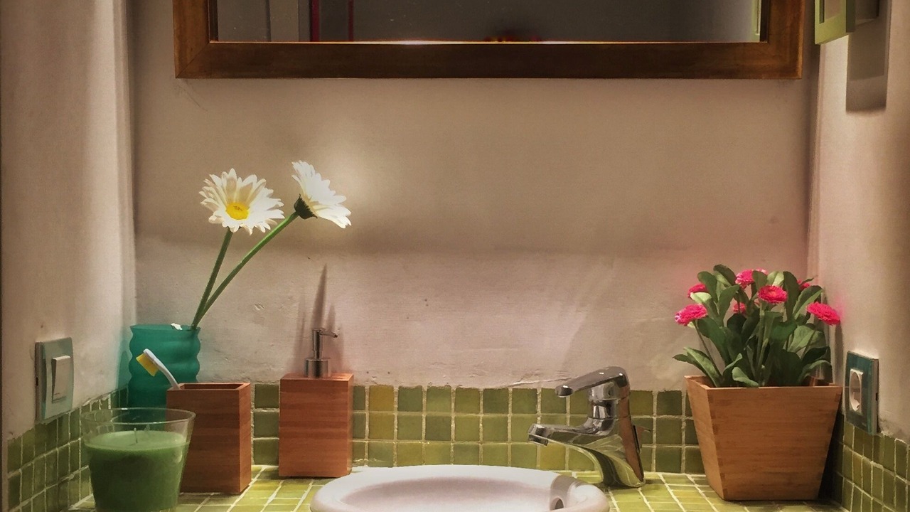 Photo of Bathroom in Urbanizacion S'Estanyol