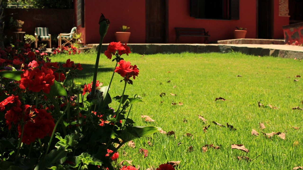 Photo of Outdoor in San Cristobal de La Laguna