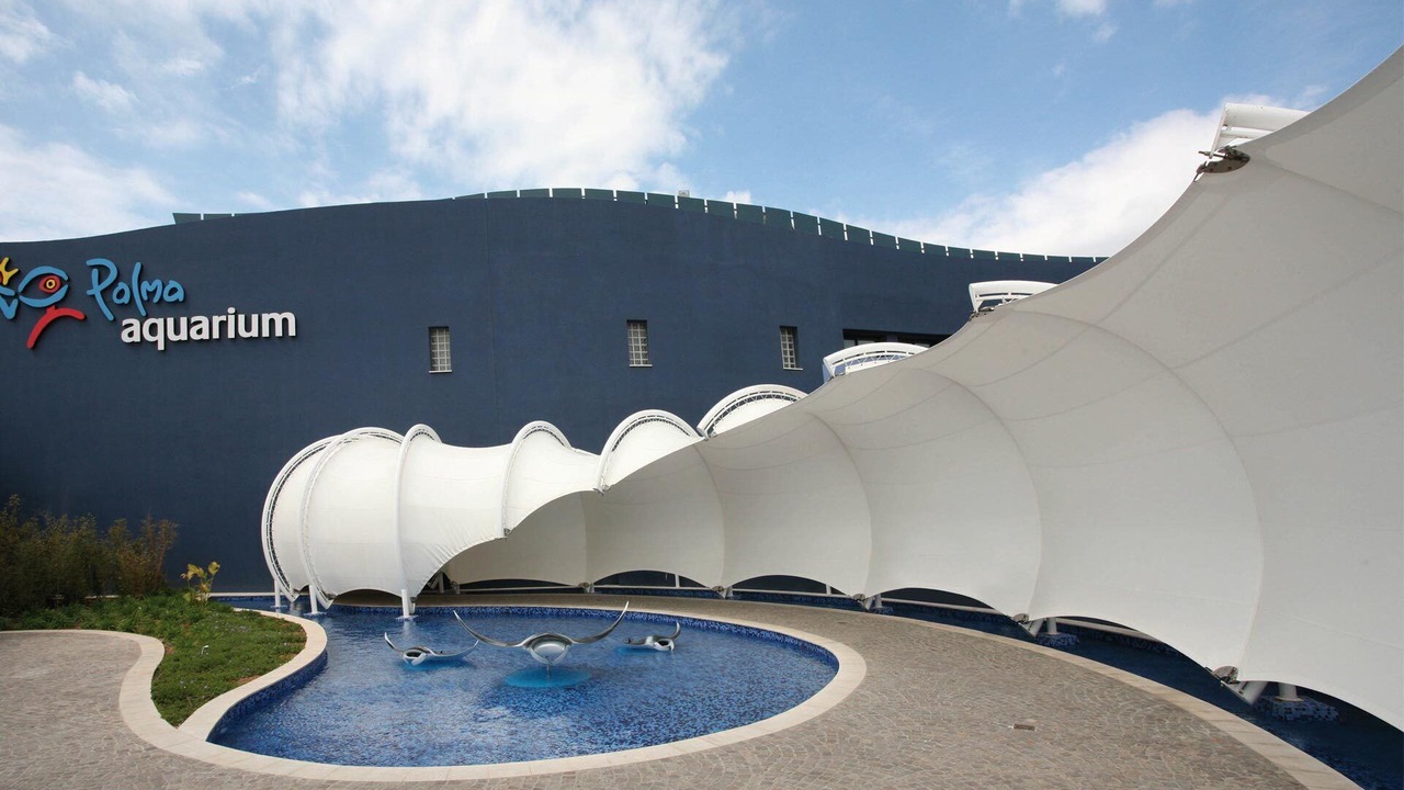 Photo of Outdoor in Playa de Palma