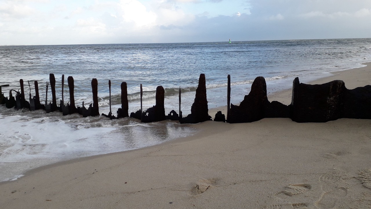 Photo of Others in Westerland