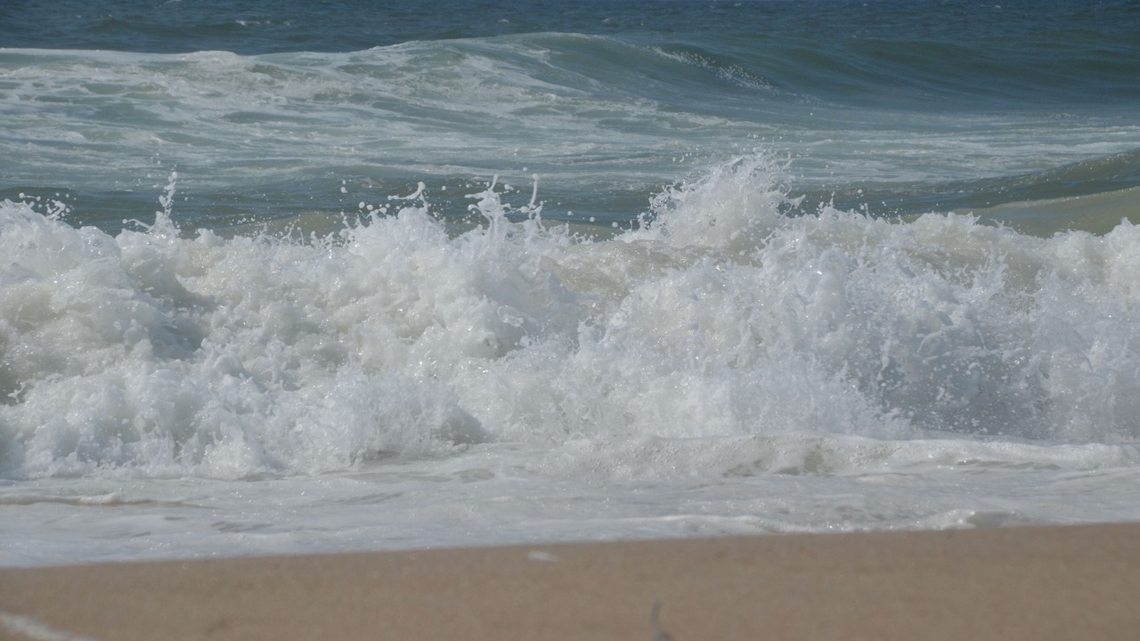Photo of Others in Westerland