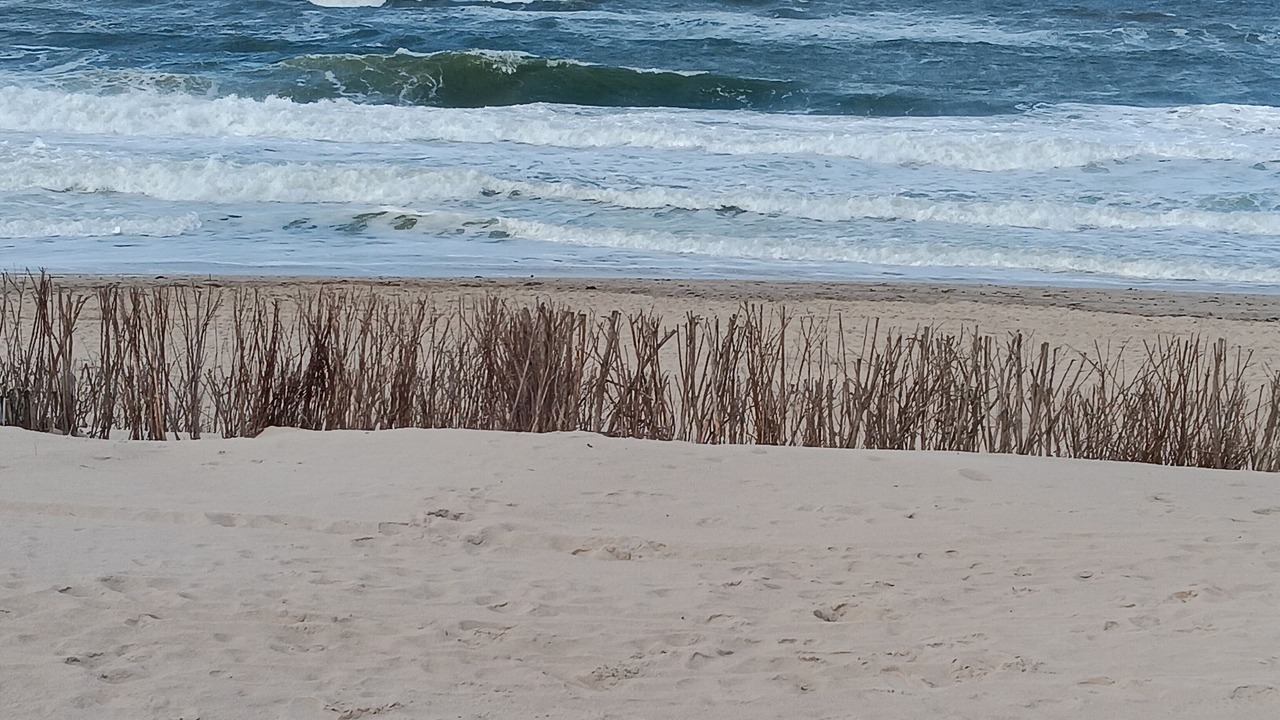 Photo of Others in Westerland