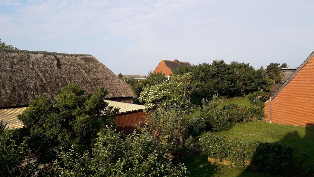 Photo of Others in Westerland