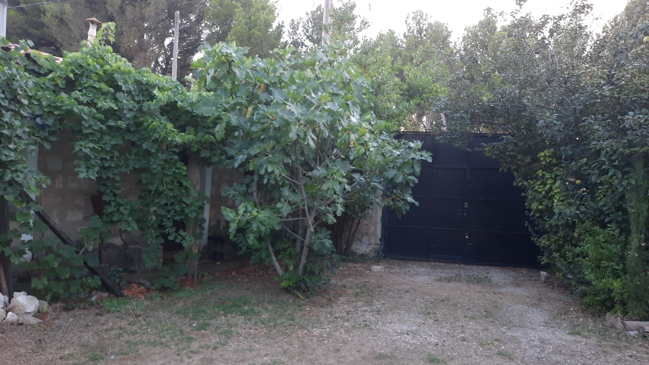 Photo of Outdoor in Alera