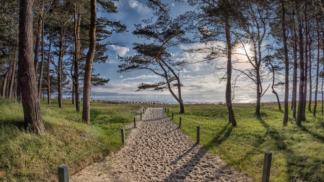 Photo of Outdoor in Binz