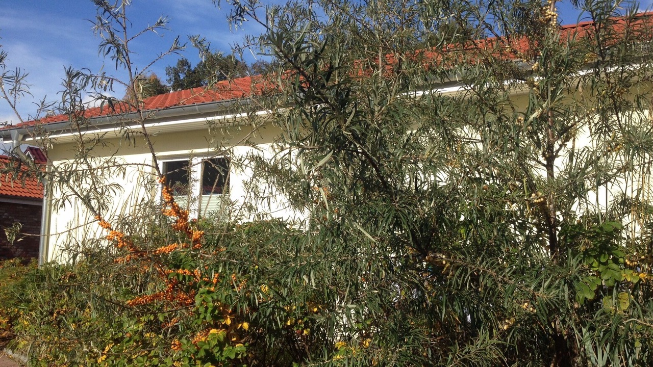 Photo of Outdoor in Pelzerhaken