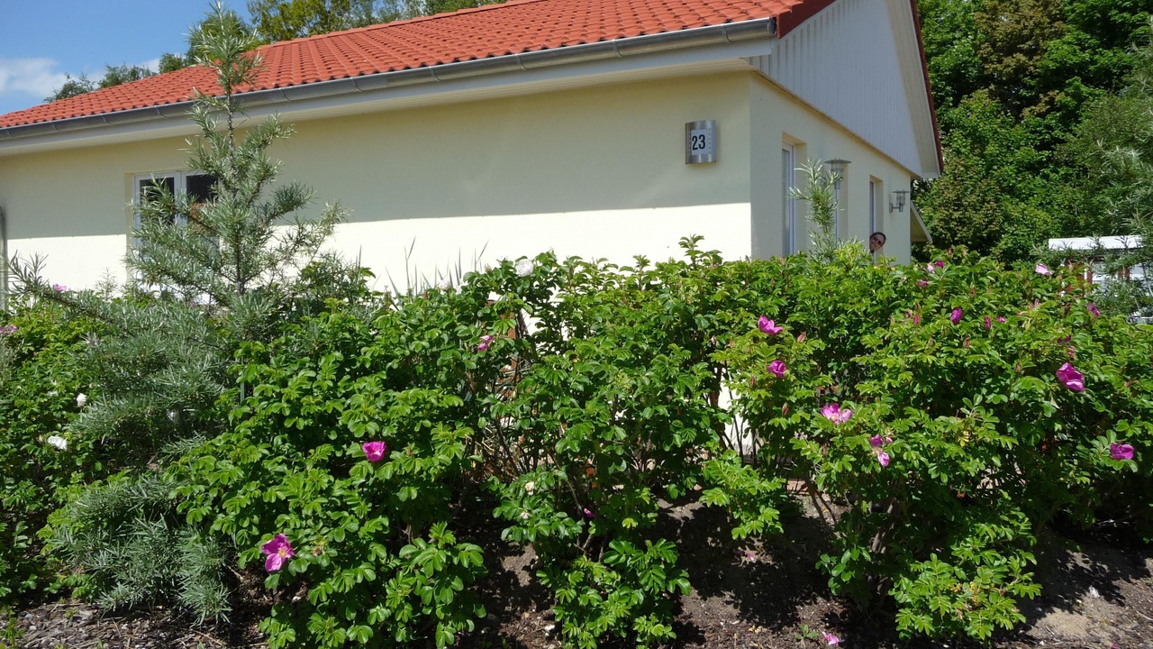 Photo of Outdoor in Pelzerhaken