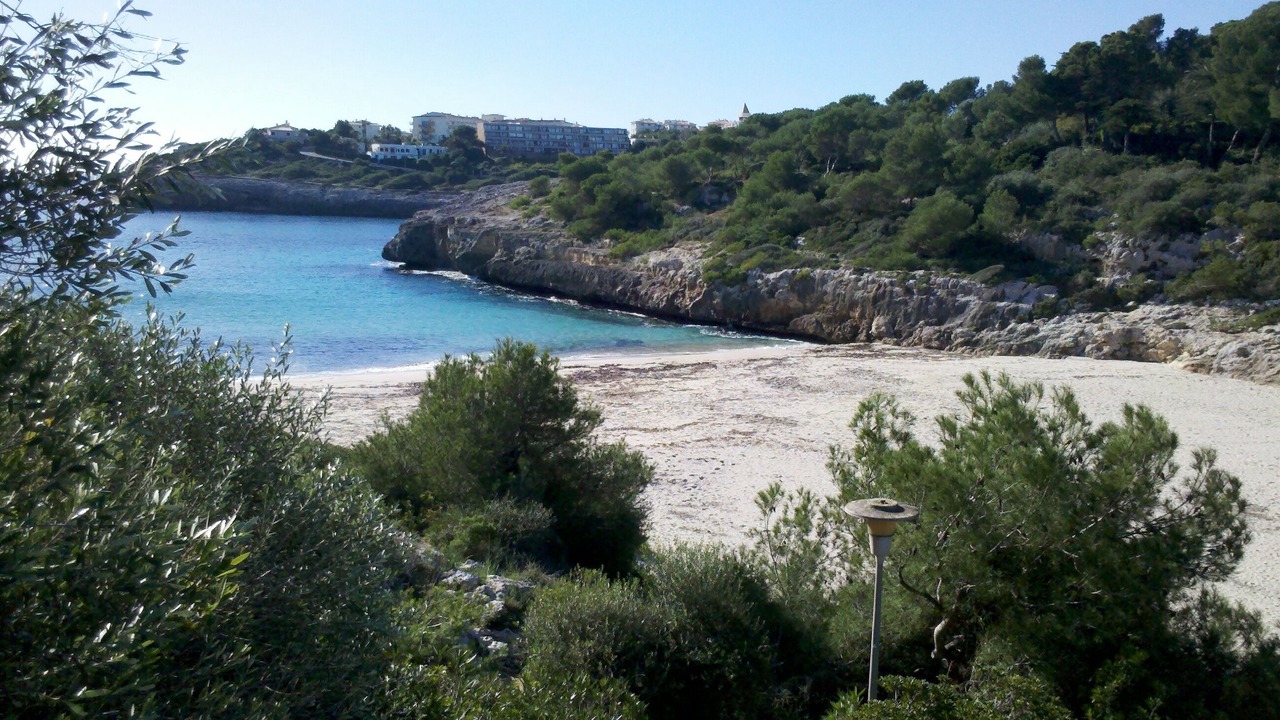 Photo of Others in Manacor