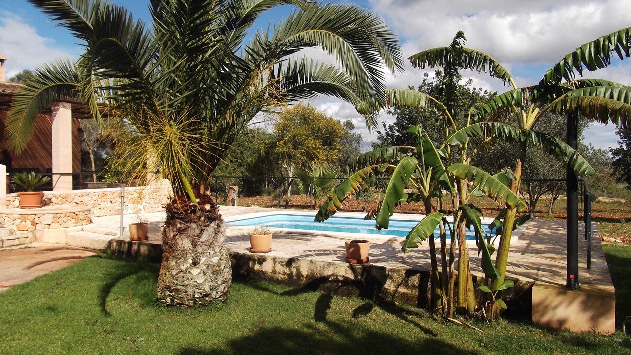 Photo of Outdoor in Manacor
