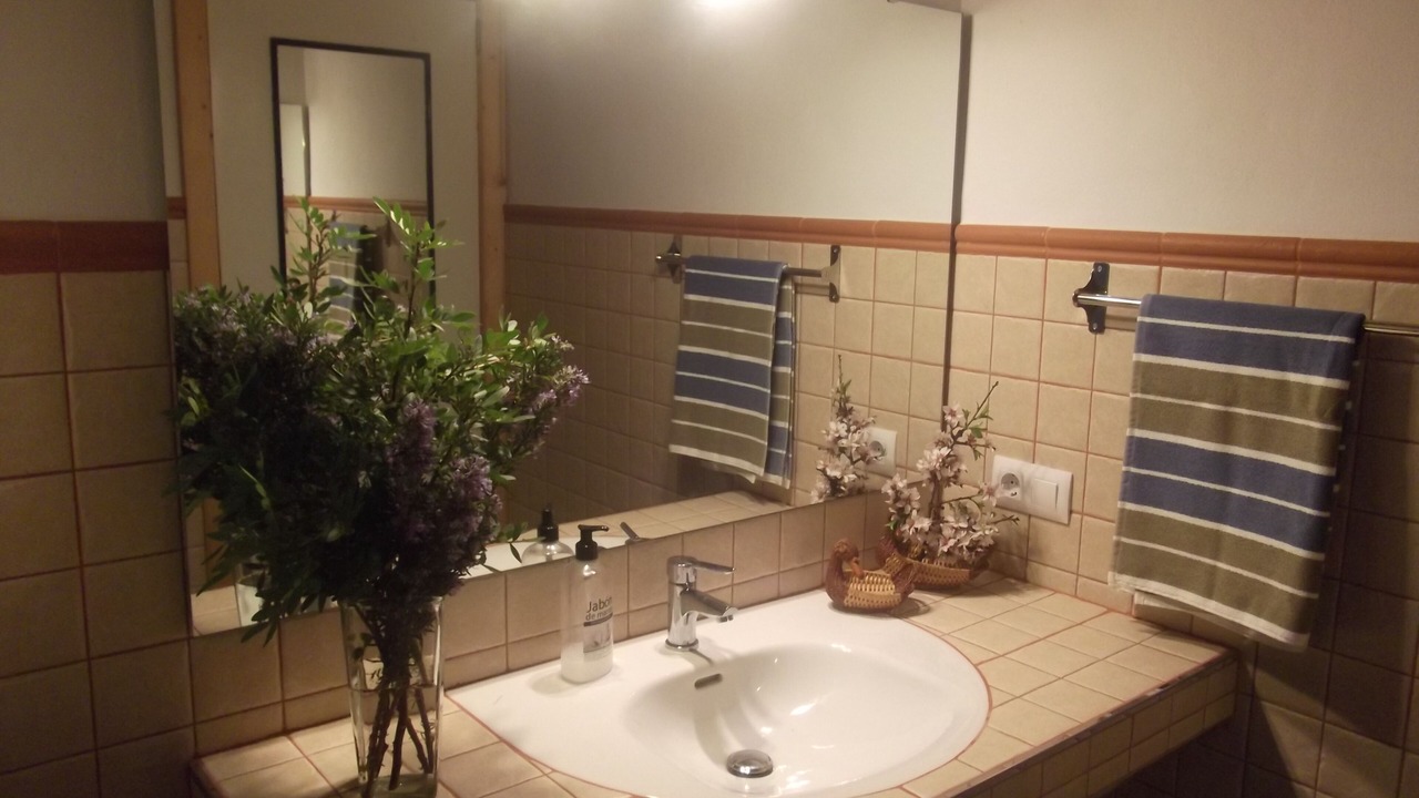 Photo of Bathroom in Manacor