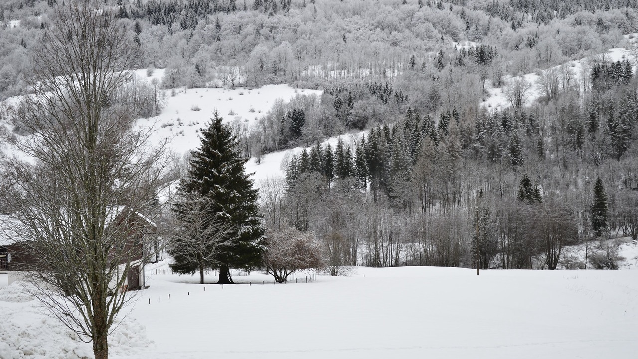 Photo of Others in Lelex