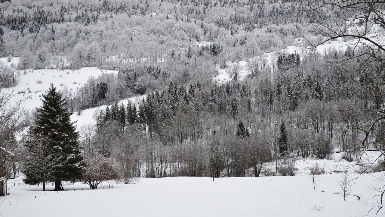 Photo of Others in Lelex