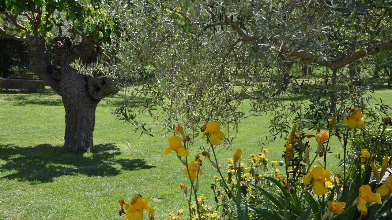 Photo of Outdoor in Euzet-les-Bains