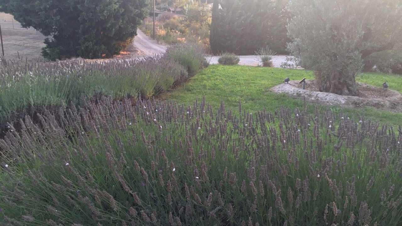 Photo of Outdoor in Plan-d'Orgon
