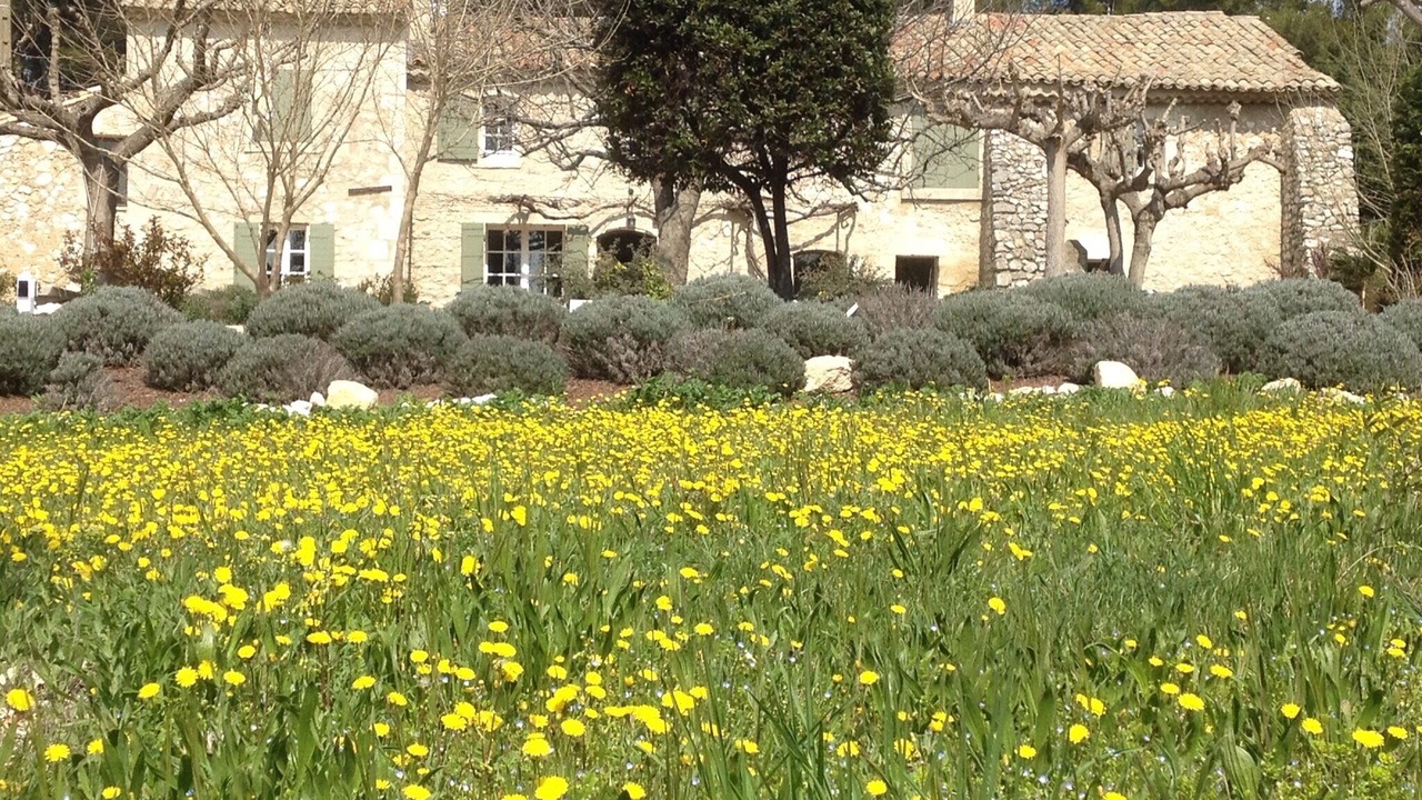 Photo of Outdoor in Plan-d'Orgon