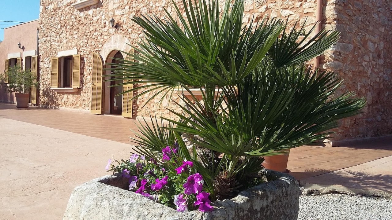 Photo of Outdoor in Ses Salines
