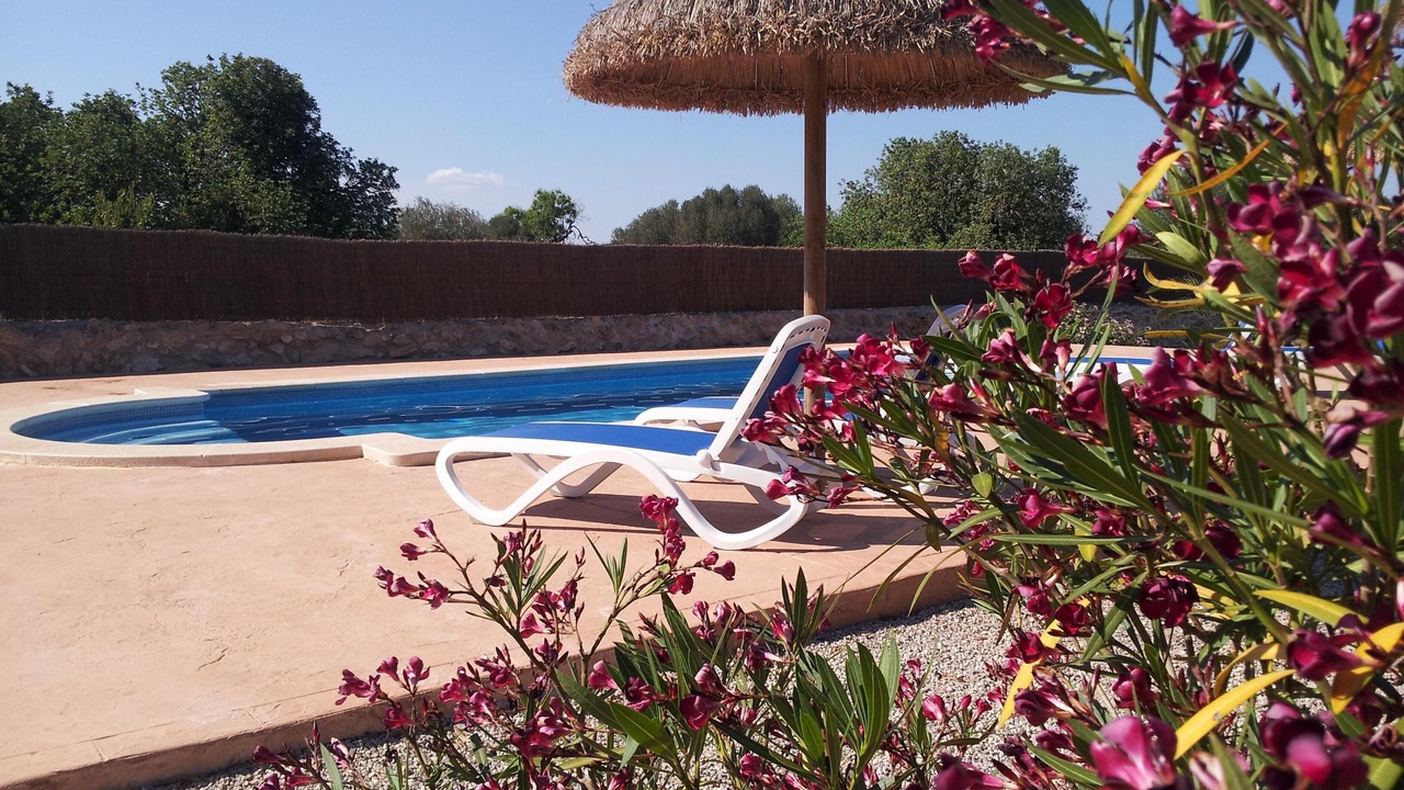 Photo of Outdoor in Ses Salines