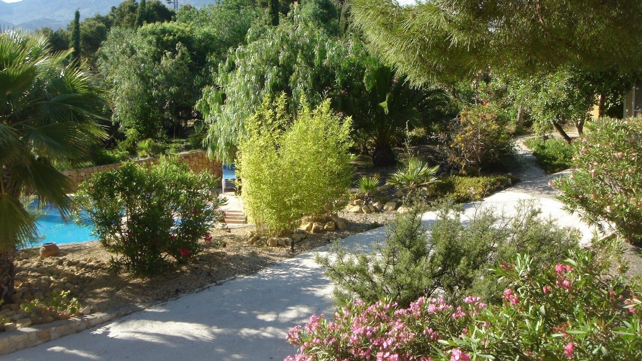 Photo of Outdoor in Benidorm