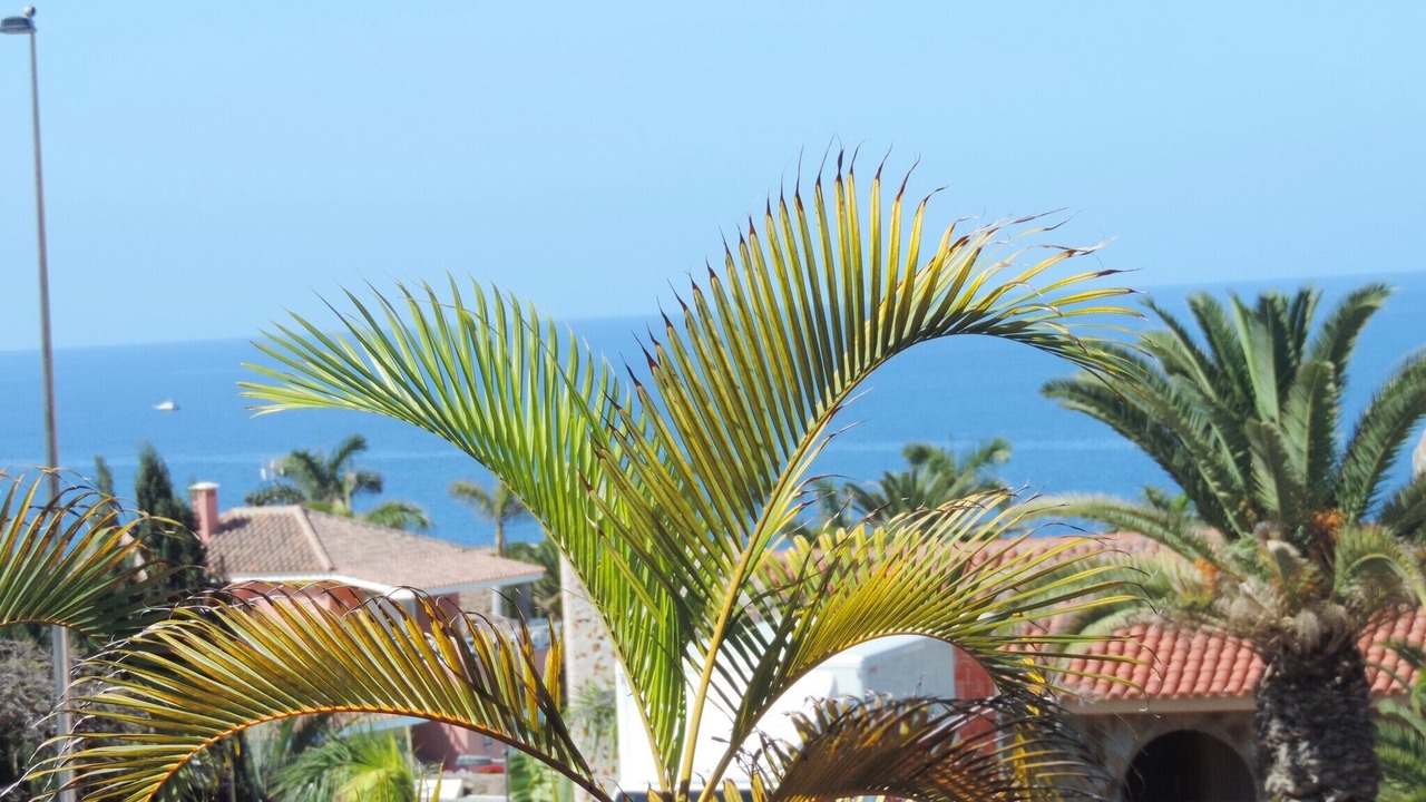 Photo of Outdoor in Costa Meloneras