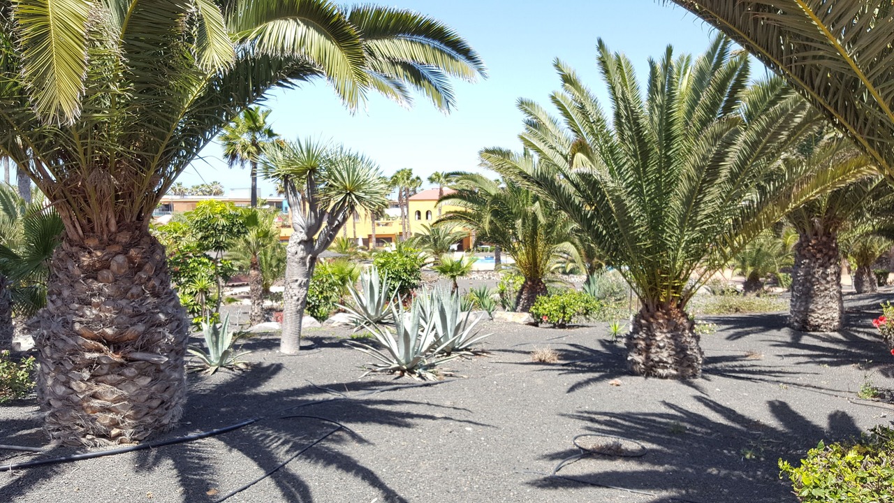Photo of Outdoor in Corralejo
