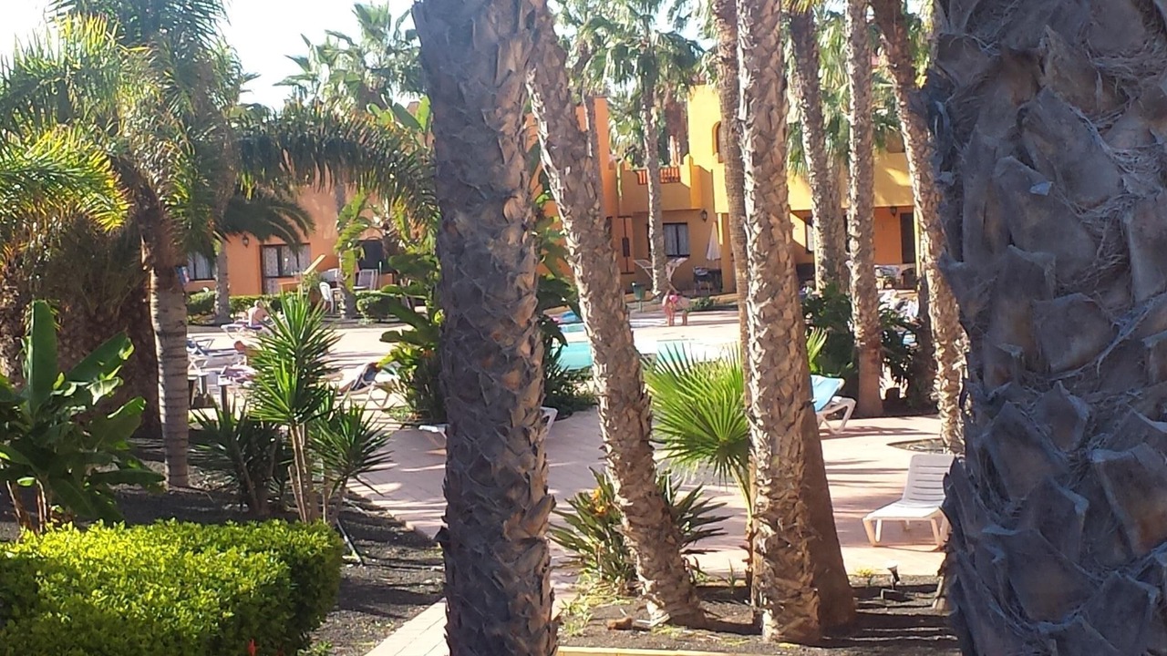Photo of Outdoor in Corralejo
