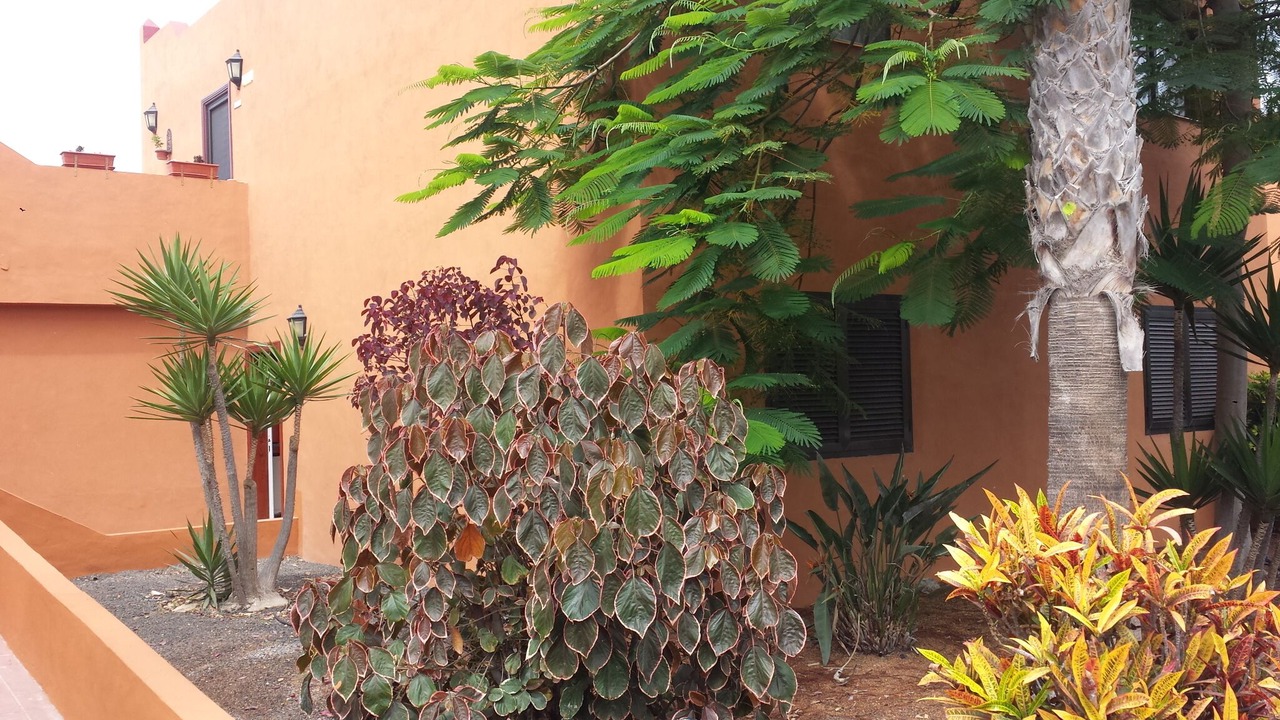 Photo of Outdoor in Corralejo