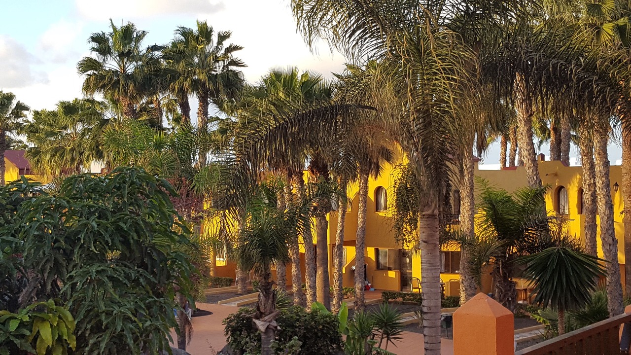 Photo of Outdoor in Corralejo