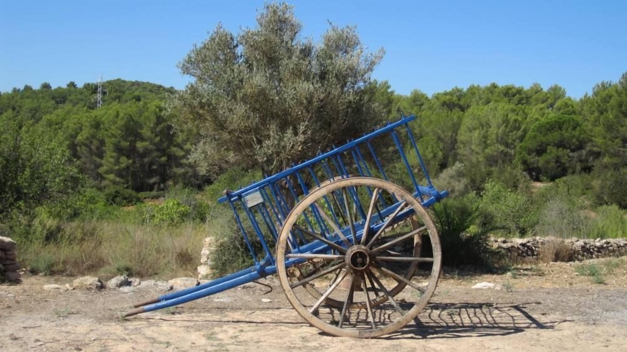 Photo of Others in Santa Gertrudis