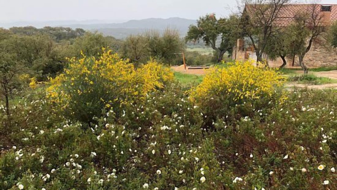 Photo of Outdoor in San Vicente de Alcantara