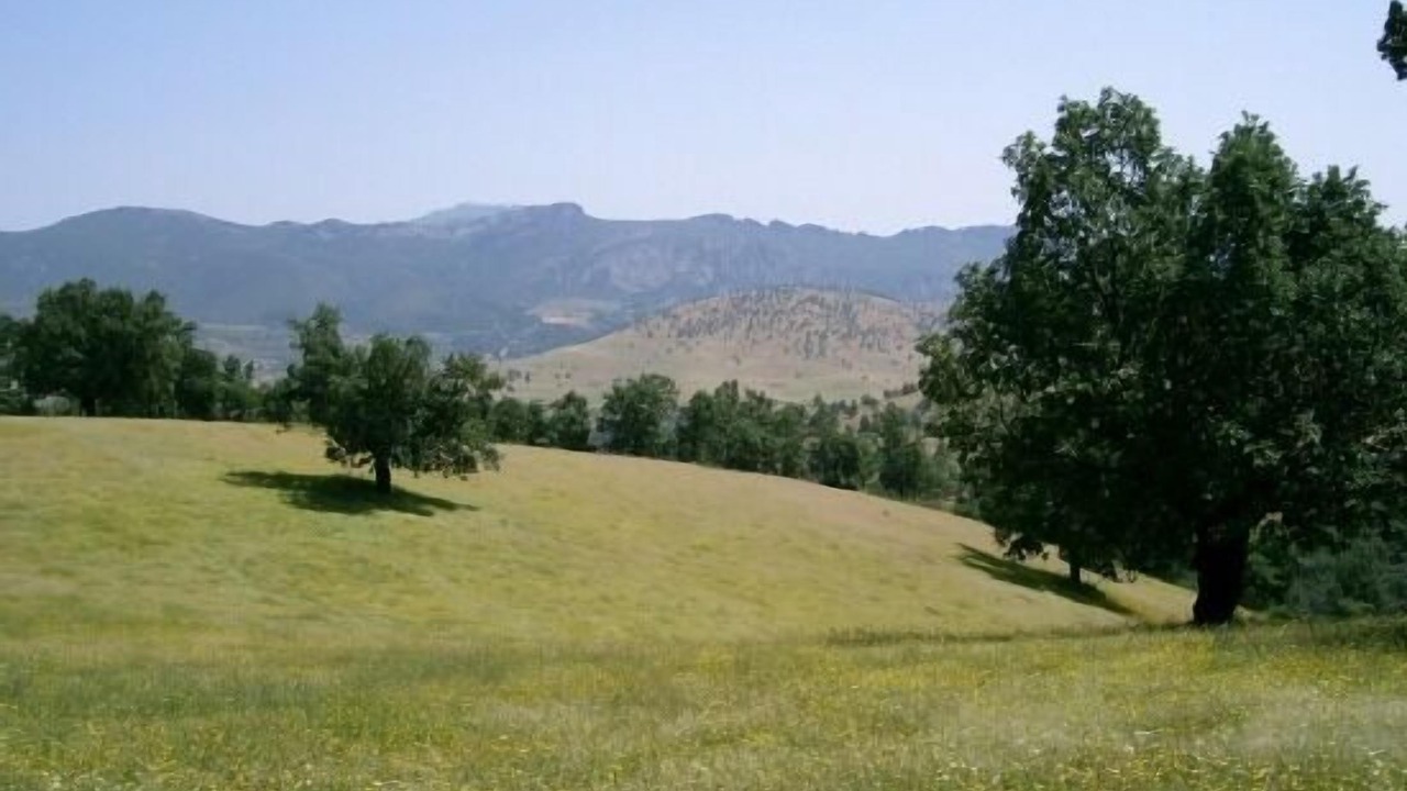 Photo of Others in Berzocana