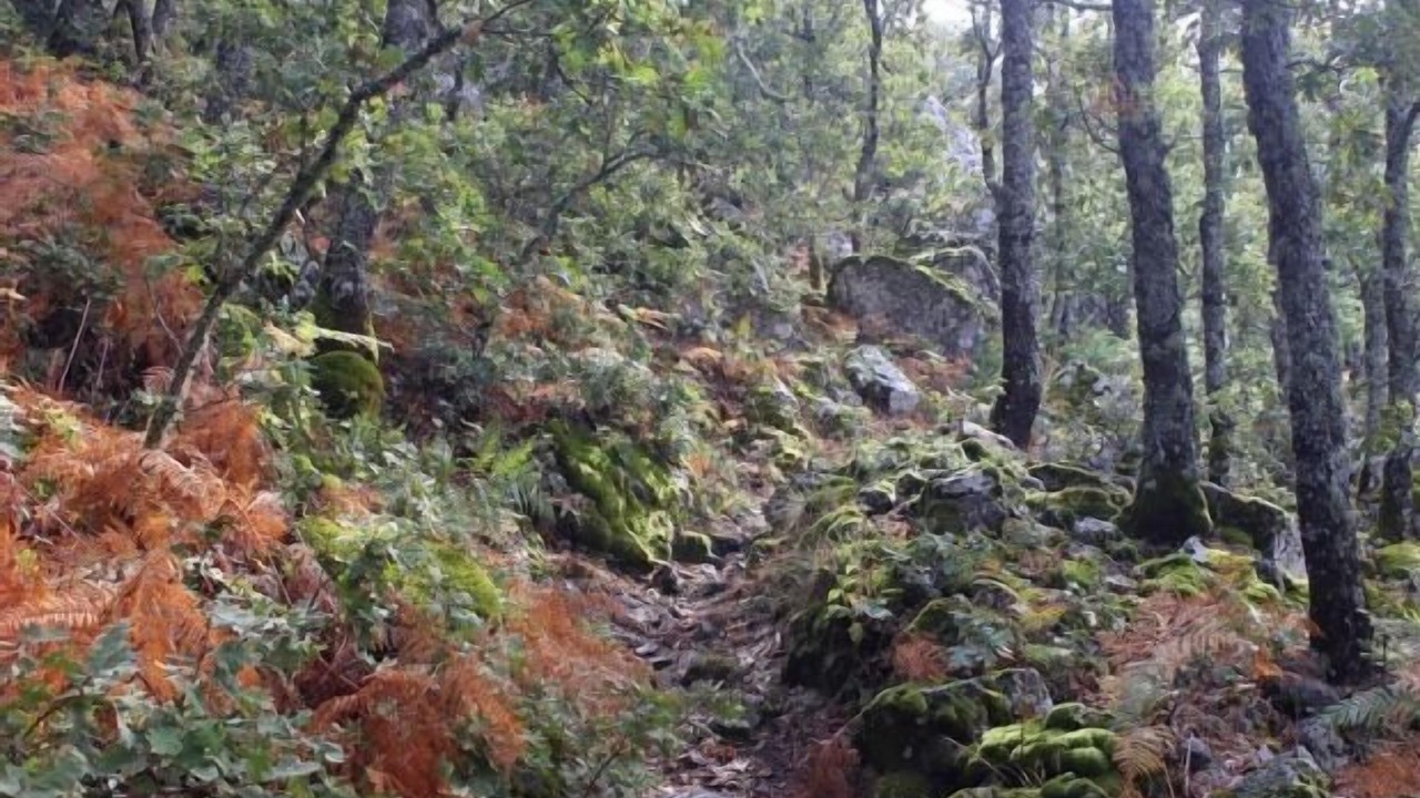 Photo of Outdoor in Berzocana