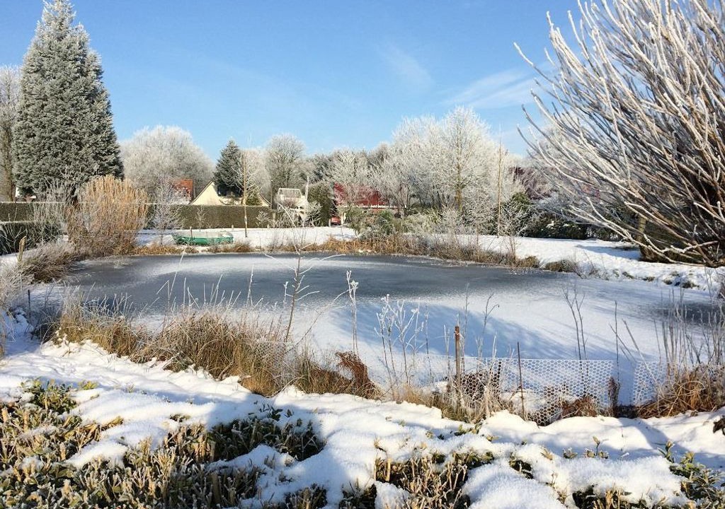Photo of Outdoor in Bad Zwischenahn