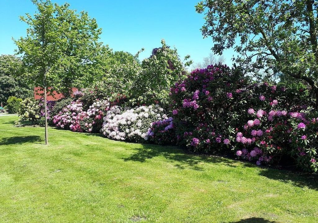 Photo of Outdoor in Bad Zwischenahn