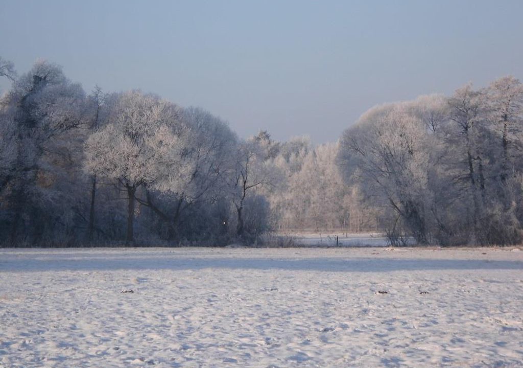 Photo of Others in Bad Zwischenahn