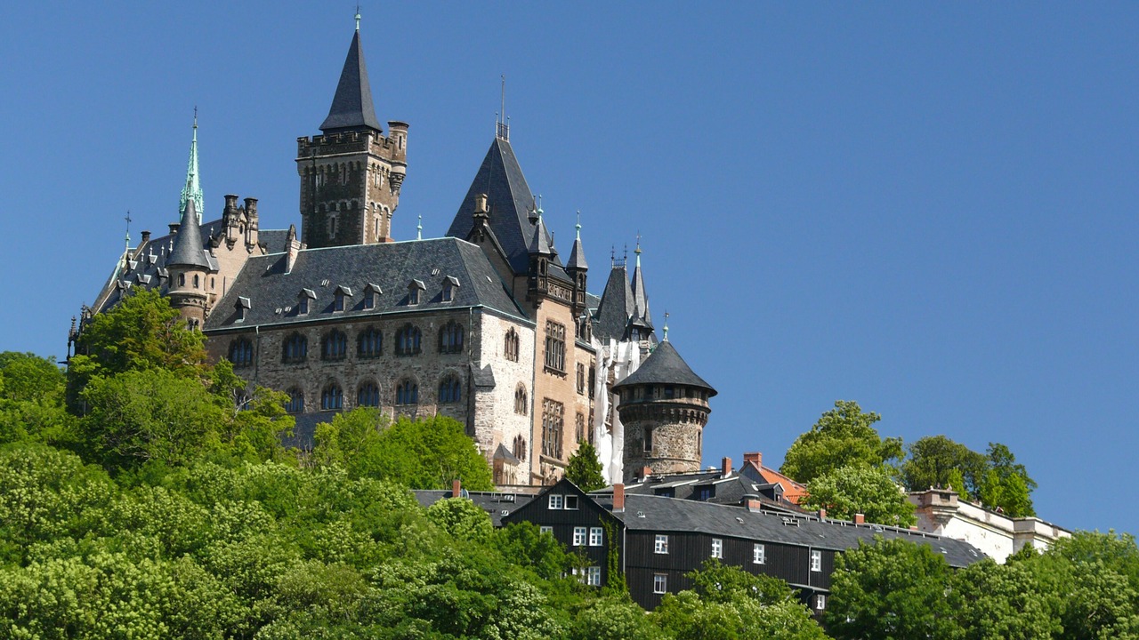 Photo of Others in Wernigerode