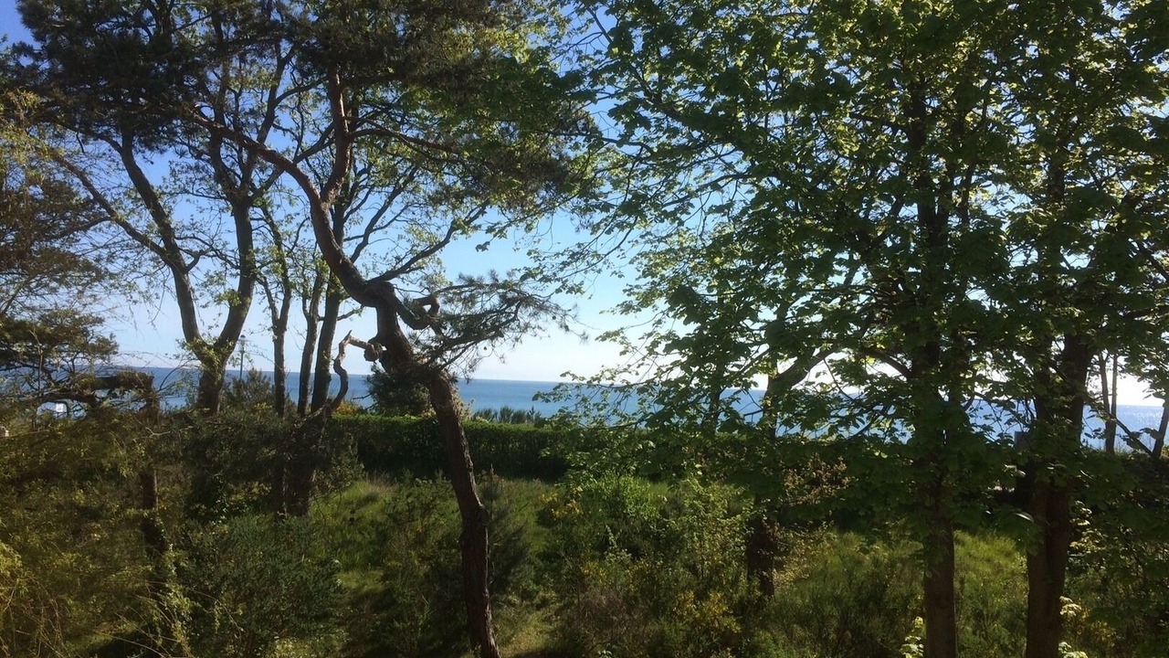 Photo of Outdoor in Juliusruh
