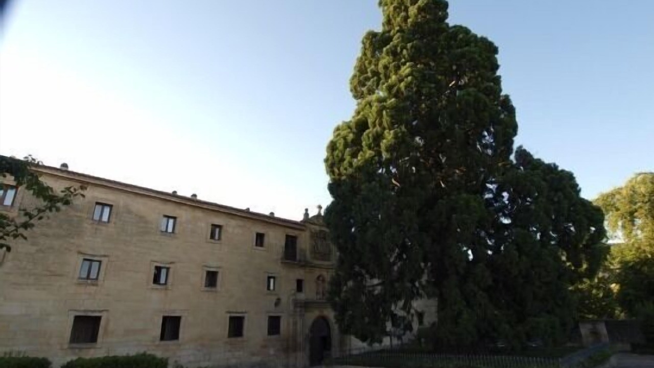 Photo of Outdoor in Santo Domingo de Silos