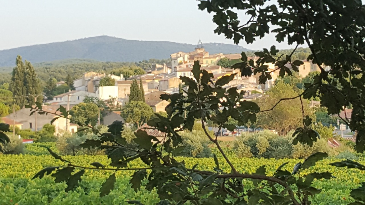 Photo of Outdoor in Peynier