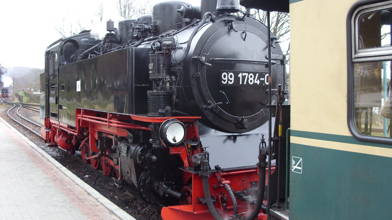 Photo of Others in Binz